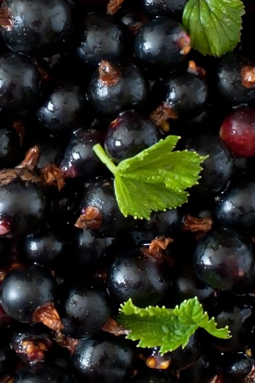 Black currants in a glass bowl on a wooden background